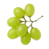 Close-up of green grapes on a white background